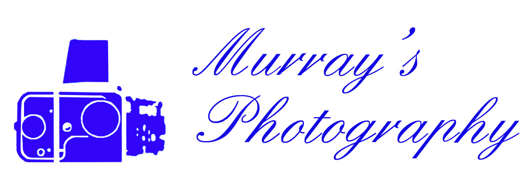 Murray's Photography Image